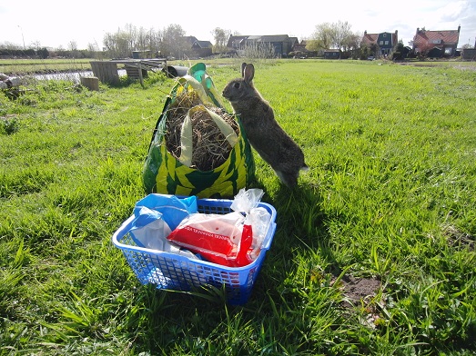 Groningen overziet zijn koninkrijk