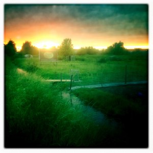 Konijneneiland 2.0. - 2