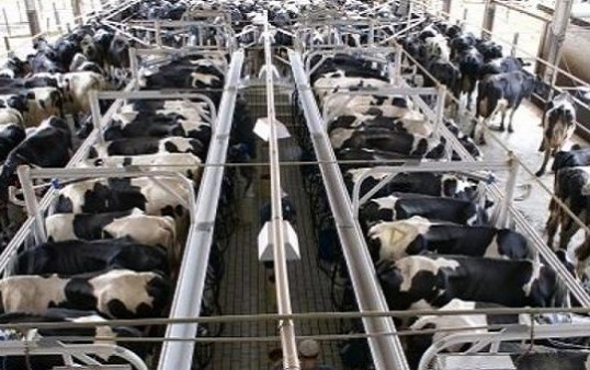 Maatschappelijk Onverantwoord Consumeren 2