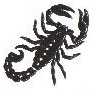 Symbol Scorpion