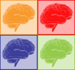 Effectief werken en de hersenen