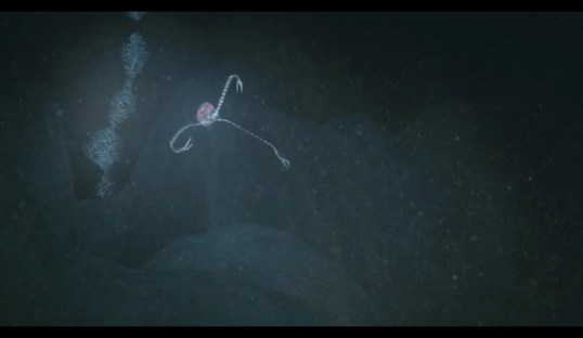 Stephen Hawking over aliens 3