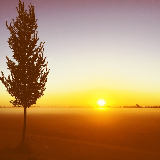 schermerpolder-nazomer-2