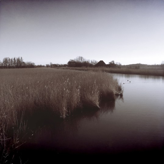 winter-in-de-schermerpolder-1