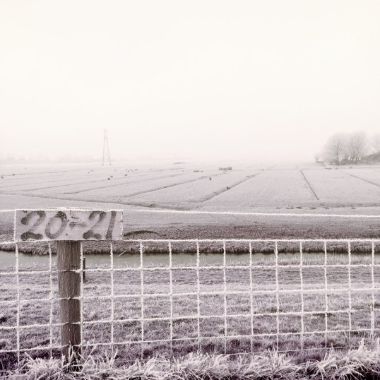 winter-in-de-schermerpolder-5